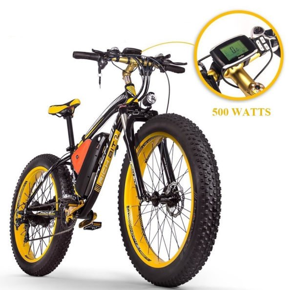 Fat Bike électrique Rich Bit